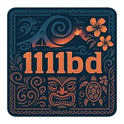 1111bd Browser Settings